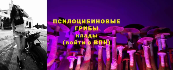 СК Великий Новгород