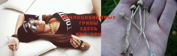 первитин Каменка