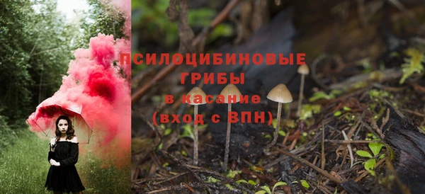 первитин Каменка