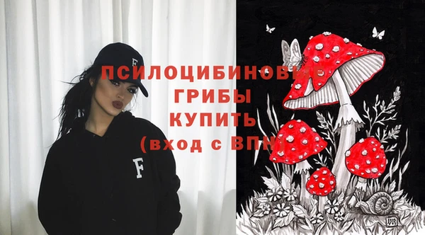шишки Каменск-Шахтинский