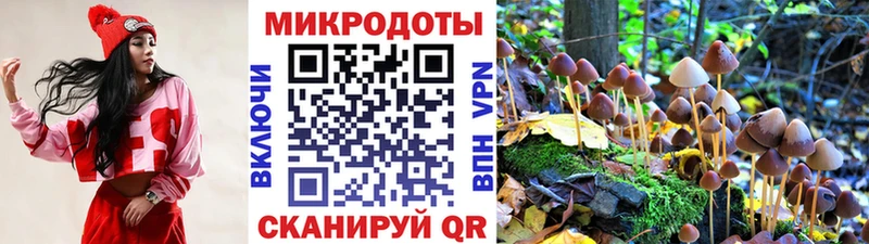 Галлюциногенные грибы MAGIC MUSHROOMS  OMG ТОР  Красный Сулин  закладки 